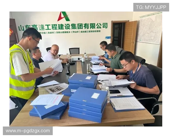 PG体育平台官网入口最新公告，详细介绍入口使用指南与安全保障措施